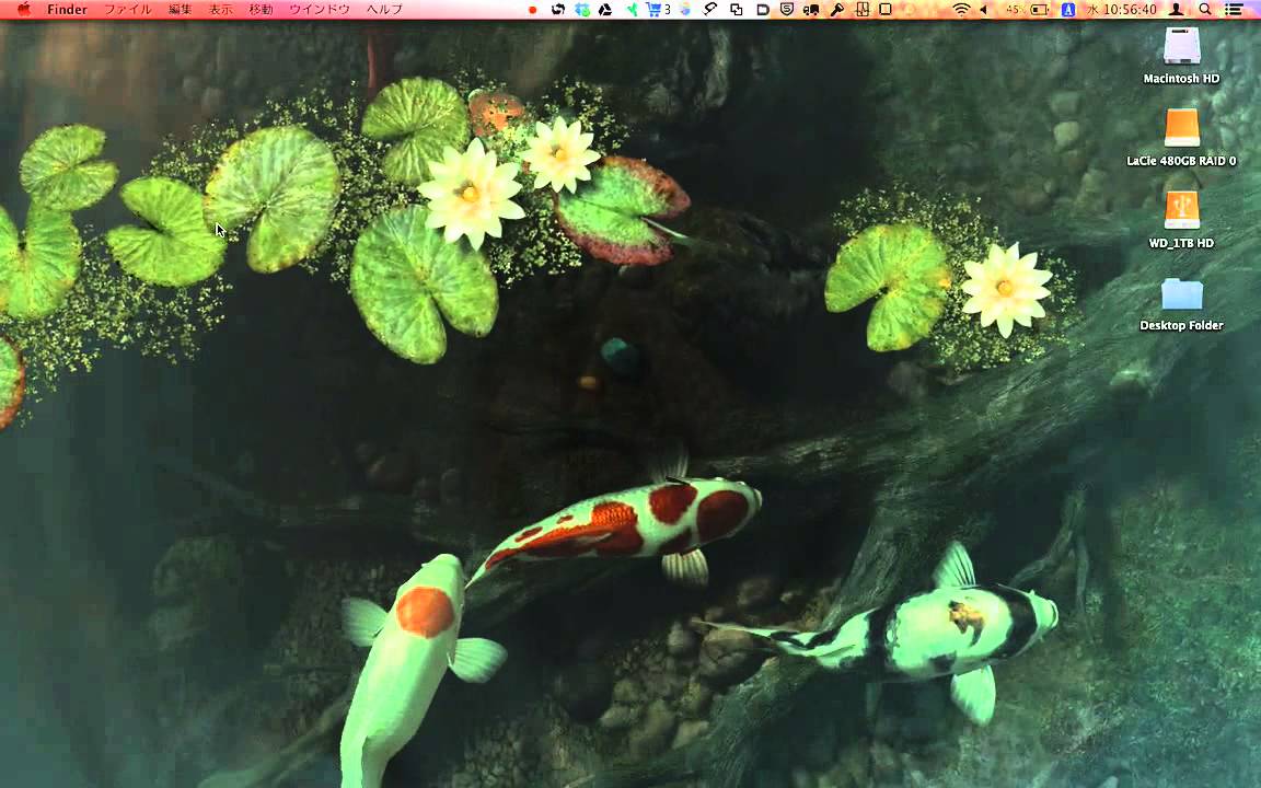 Koi Pond 3d Mac Free Download